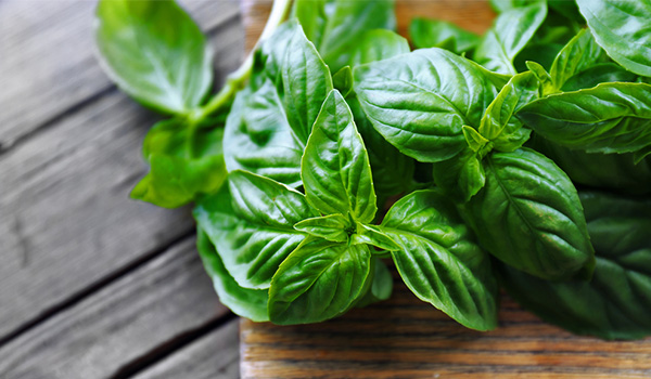 DIY Basil Cleansing Pack